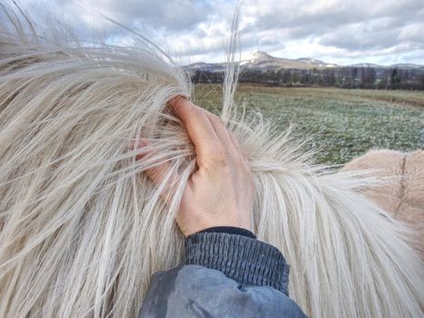 Check of winterizing of horse. Horses acclimated to cold temperatures often prefer and are better off outdoors