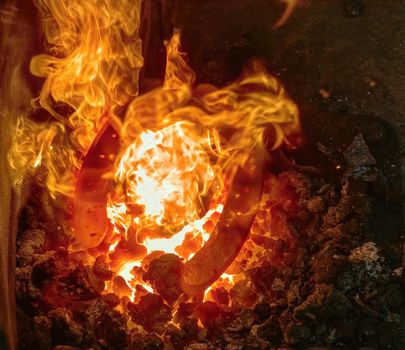 Heating process of metal  bar on the hot coals for forging horse shoe on the anvil