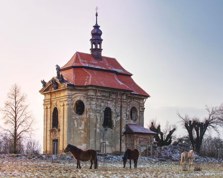 Horse feeding on meadow in winter day. Old church or chapel on hill in background.