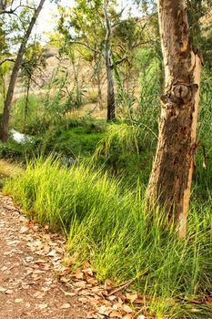 Beautiful green landscape in Chelva, Valencia, Spain