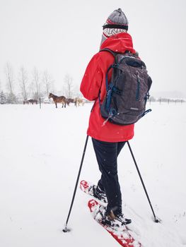 Girl walk with snowshoes at snowy horse paddock. Snowfall in winter landscape, windy foggy weather