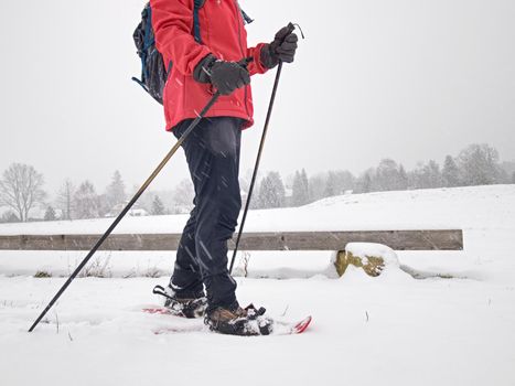 Single snow walker or cross skier sports woman and gray milky clouds in background. Powder snow falling .