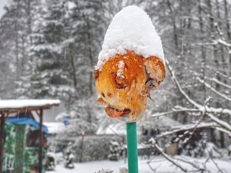 Crazy scary mask. A cut off head on the fence like a house keeper. Winter walking around houses.