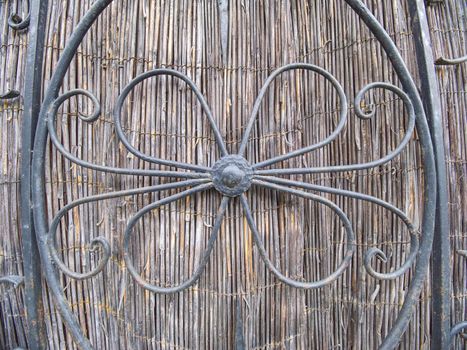 Elaborate ornamental wrought Iron fence against reeds wall, entrance into old garden