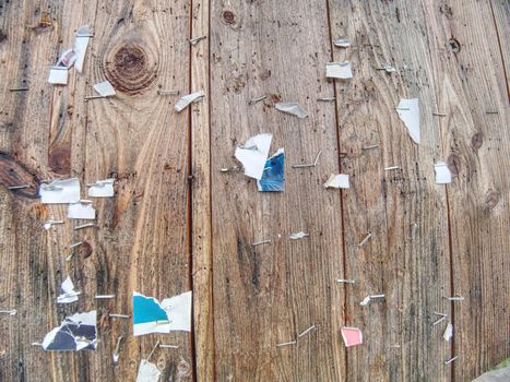 Old Stapled Wood.  Paper leftovers on an old wooden wall. Leftovers of torn papers and rusty wire staplers