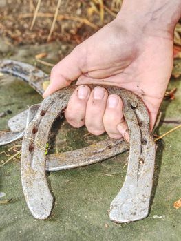Silver used horse shoes on palm of young woman in red jacket.  Fall season still with obsolet  horseshoes on wet ground dotted with fallen leaves.