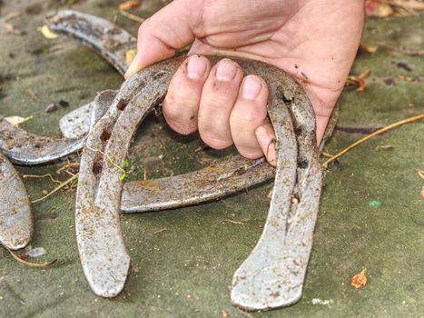 Hand show brushed horseshoes in detail. Orthopedic horshoe removed to limping horse