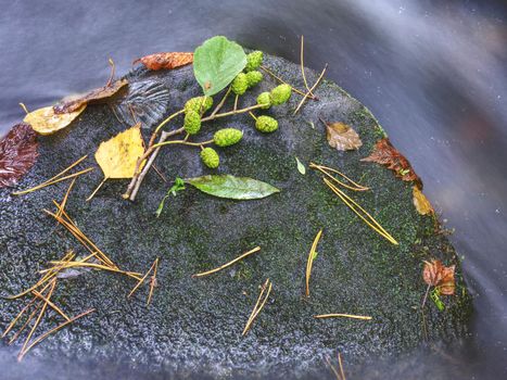 Autumn in the forest mountain stream. Beautiful autumn forest, rocks covered with moss. Mountain river with rapids and waterfalls