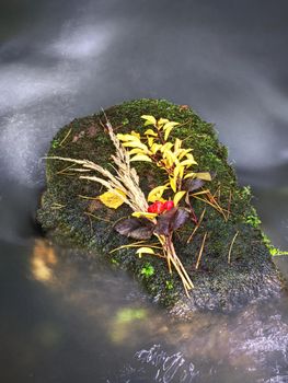 Hand made autumnal bouquet lay on stone in stream. Prepared still with bundles of colorful grass stalks and fall leaves