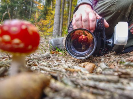 Mushroom photographer take a picture of mushroom fly agaric red and also make mushroom reflection in lens filter. 
Guy photographing mushroom with macro lens