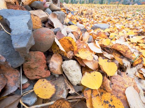 Stony pile in paddock with level of yellow lime leaves. Stock of building material.