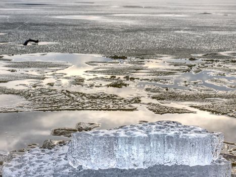 Exposed shore under melting ice. Close up view to border between ice and dark water.  Warm summer on north.