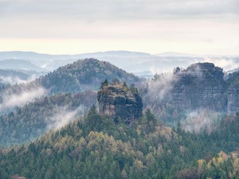 Green mountain forest landscape in mist.   Low mountains in clouds landscape. Foggy mountain forest landscape.