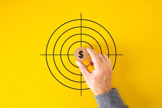 Dollar icon, in the center of the target on a yellow background. The businessman set a goal