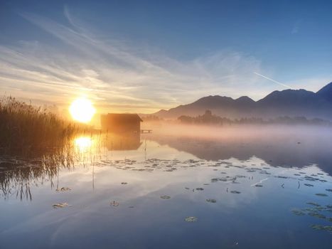 Purple sunrise at calm Kochelsee lake in Bavaria Germany. Long shadows and water lily leaves on water level of lake against boathouses