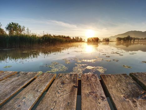 Beautiful mmorning at lake with traditional wooden boat house. Shore of famous mountain ake Nationalpark, Germany 