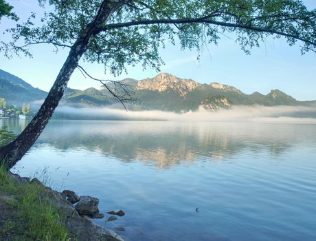 Pebble or rocky shore of the mountain lake, in the distance you can see the sharp Alps mountains