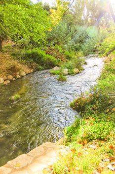 Leafy forest by the river in Chelva, Valencia, Spain
