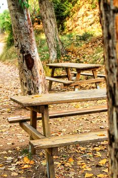 Wooden benches in the forest in Chelva, Valencia, Spain