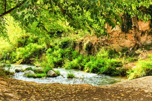 Leafy forest by the river in Chelva, Valencia, Spain