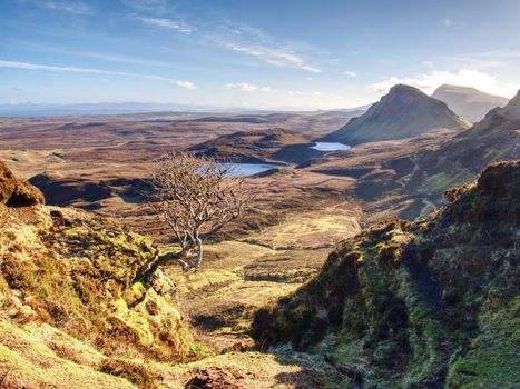 Winter colors of hilly landscape on the Isle of Skye in Scotland. Beautiful Quiraing range of mountains within sunny February day