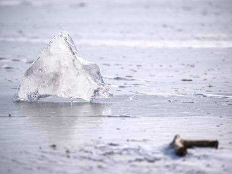 Arctic ice. Broken pieces of glacier floating on large floe to ocean