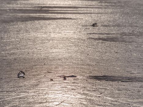 Freeze silent nature.  Transparent blue ice hummocks on sea. Sun reflections.