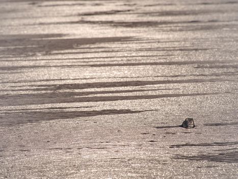 Ice covered  the lake. Big cracks in tin ice floe and reflection of Sun rays.