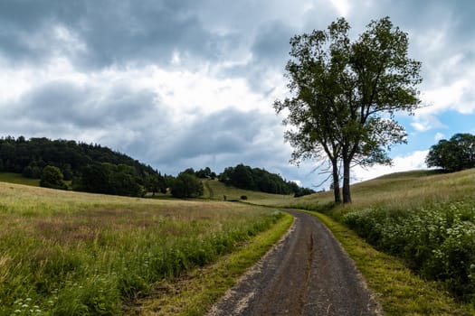 Long mountain trail in Walbrzych Mountains at cloudy day