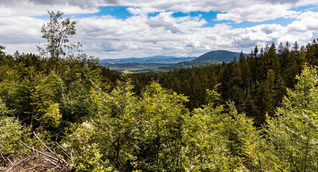 Beautiful panorama of Walbrzych mountains over trees and bushes