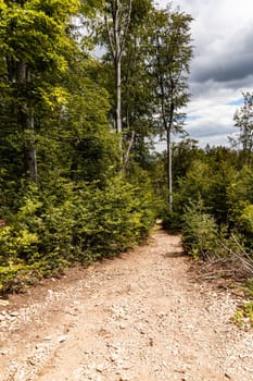 Long mountain trail in Walbrzych mountains with beautiful panorama of mountains