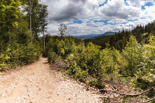 Long mountain trail in Walbrzych mountains with beautiful panorama of mountains