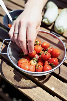 Close up of man hand picking a fresh strawberry from a bucket