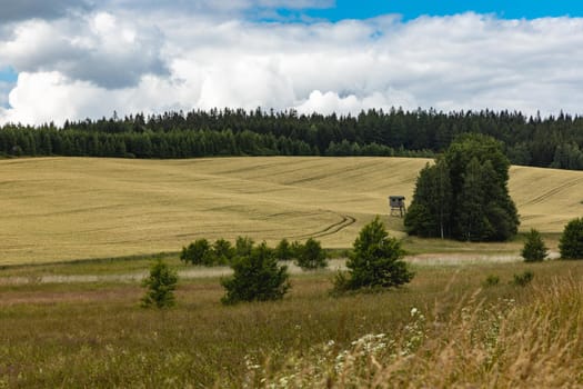 Beautiful panorama of trees bushes and fields in Walbrzych mountains