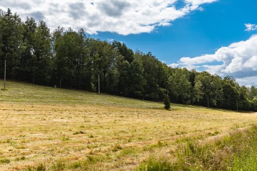 Beautiful panorama of trees bushes and fields in Walbrzych mountains