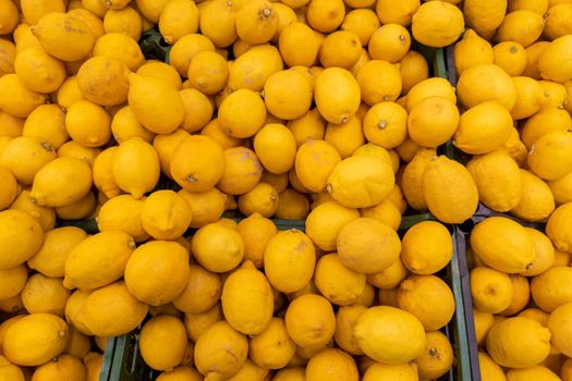 Lemons on the counter in the store.