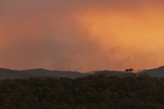 Photograph of bushfire smoke at sunset from hazard reduction burning in the Blue Mountains in New South Wales in Australia