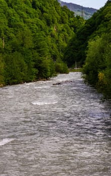 The waters of Aragvi river in Caucasus mountain of Georgia