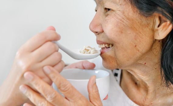 Caregiver feeding elderly parents