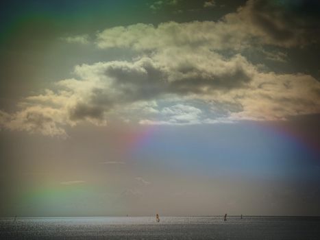 Windsurfer men on a windsurfs.  Gentle wind blowing,  Abstract.