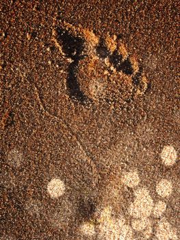 Footprints on sand. Human imprints, prints, tracks on sandy surface. Barefoot, feet, toes marks. Vacation travel wanderlust  Abstract.
