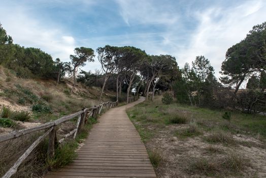 Platja de Les Muscleres in La Escala behind the ruins of Empuries, in the Province of Giron, Catalonia, Spain.