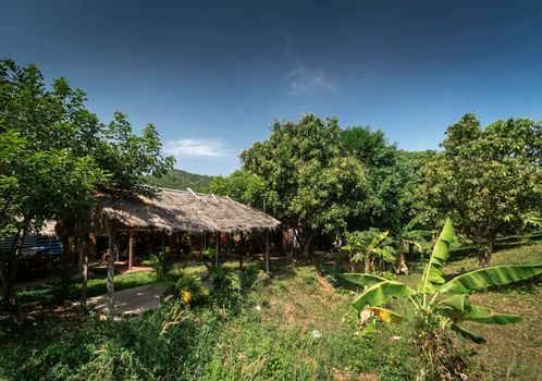 traditional thatched bungalow in tropical fruit farm plantation near kampot cambodia