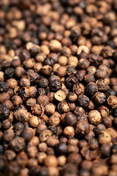 close up of kampot organic pepper peppercorns drying in the sun in cambodia