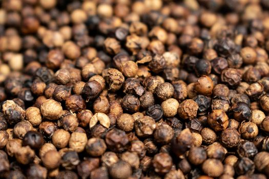 close up of kampot organic pepper peppercorns drying in the sun in cambodia