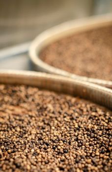 detail of trays of kampot organic pepper inside drying room in cambodia