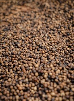 close up of kampot organic pepper peppercorns drying in the sun in cambodia