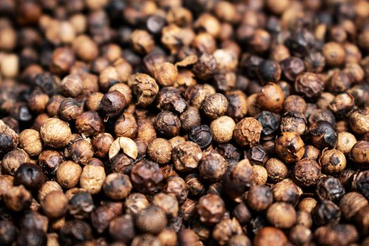 close up of kampot organic pepper peppercorns drying in the sun in cambodia