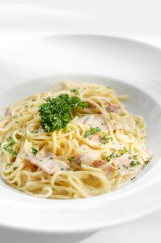 spaghetti carbonara italian pasta dish on white table background