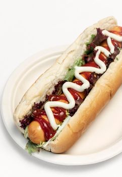 classic hot dog with frankfurter sausage and sauces on white studio background